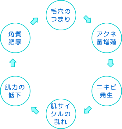 おとなニキビができるメカニズム